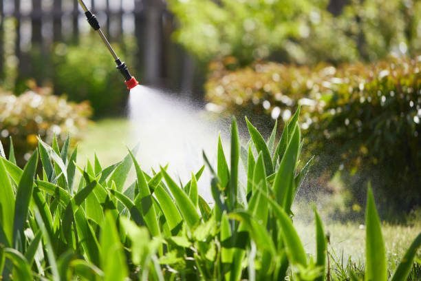 Tamper-Resistant Bait Stations for Rodents in Munfordville