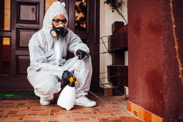 Attic and Crawl Space Rodent Treatment in Munfordville