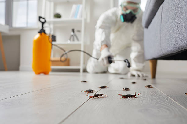 Commercial Rodent Management in Munfordville